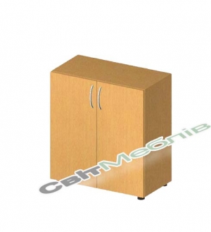 Шафа для книг 2-дверна на дві полиці БЮ404