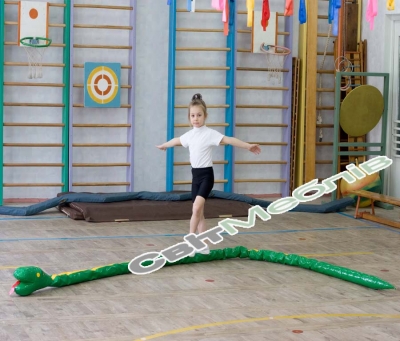 Фізкультурне обладнання "Змійка"