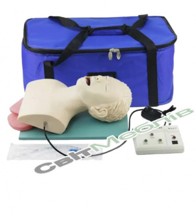 Манекен для тренування у постановці назофаренгітального повітроводу